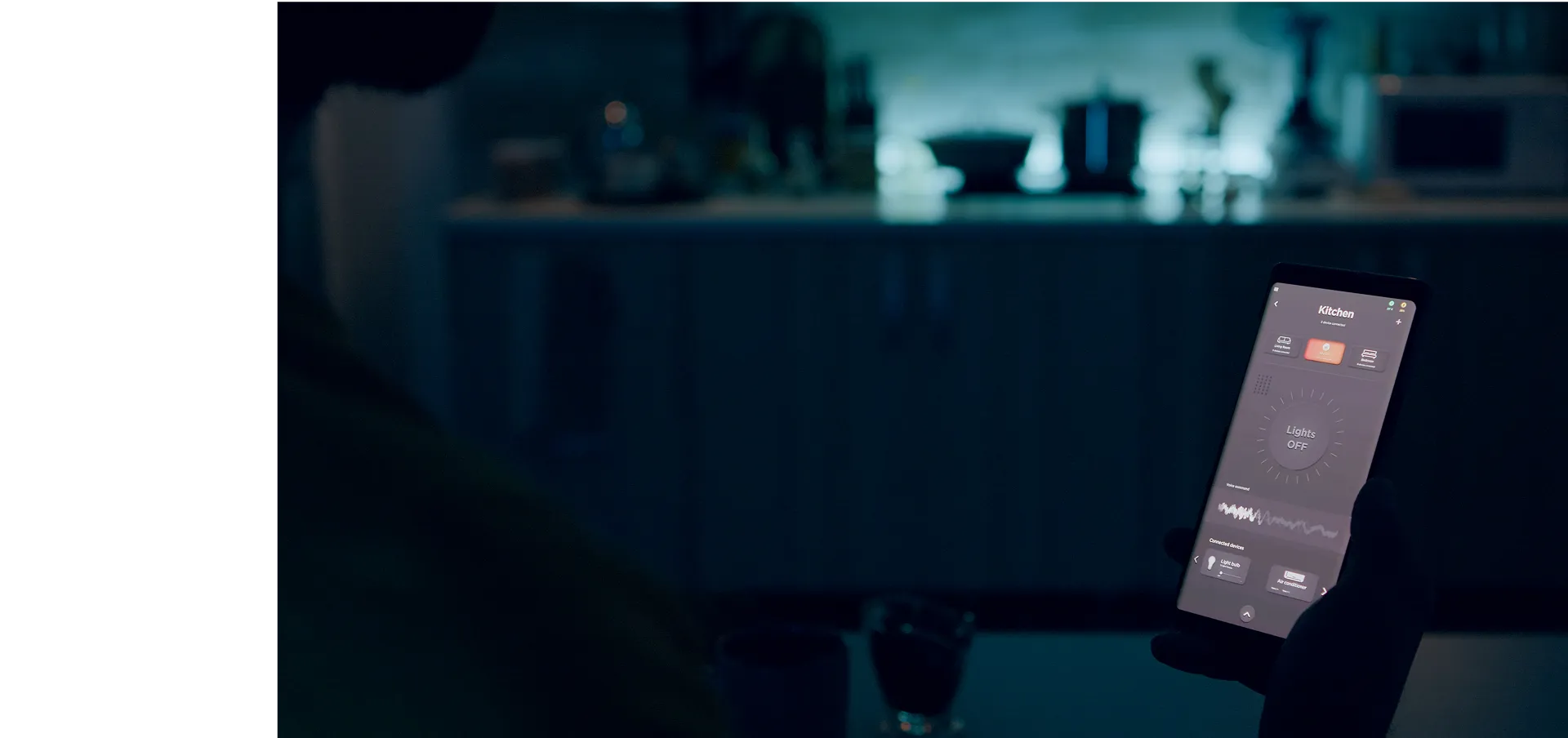 IoT Application Development Services